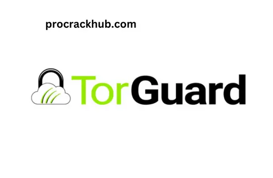 Torguard VPN Crack