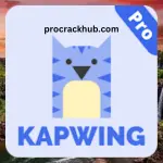 Kapwing Crack