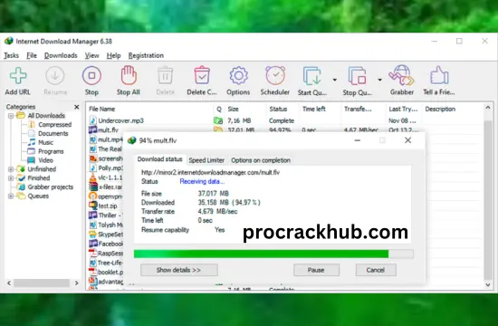 Fast Video Downloader Crack 