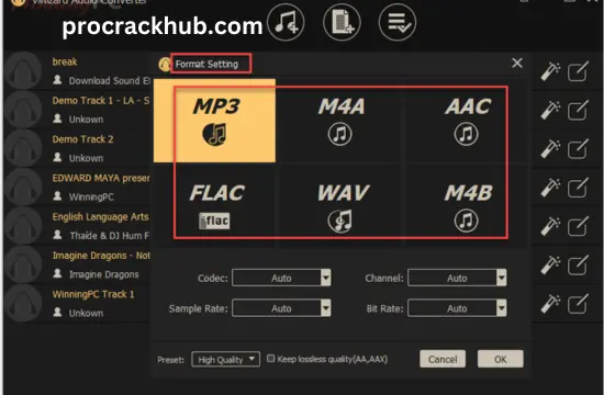 ViWizard Audio Converter Crack